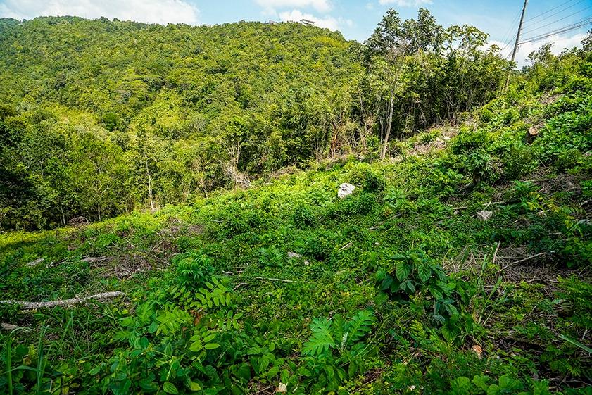 Seventh image of Lot 18 Woodland Heights in Red Hills, St. Andrew, Jamaica - property is For Sale