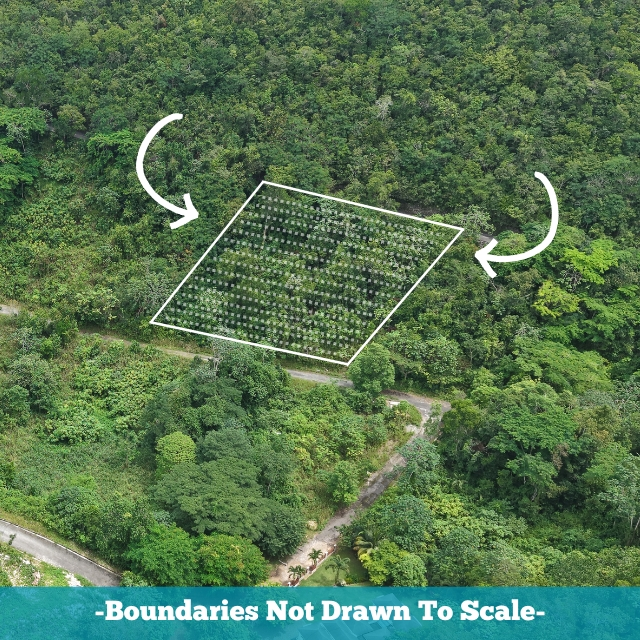 First image of Lot 7-grove Cres Woodland Heights, Red Hil in Red Hills, St. Andrew, Jamaica - property is For Sale