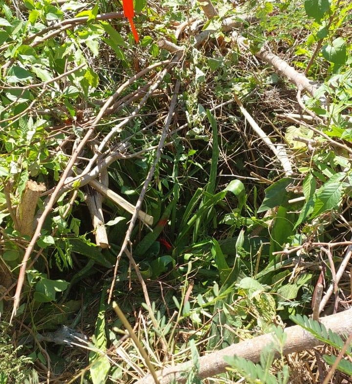 Second image of Yallahs to Lloyds Parochi in Yallahs, St. Thomas, Jamaica - property is For Sale