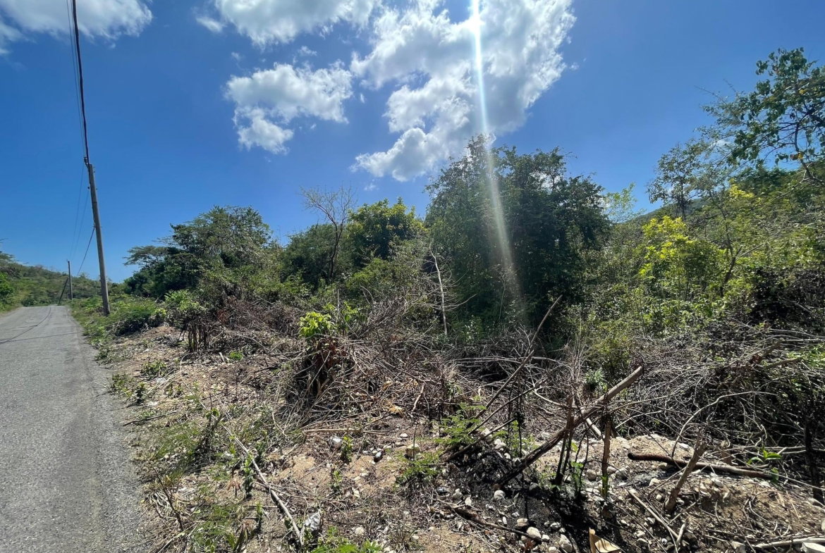 Eleventh image of Yallahs to Lloyds Parochi in Yallahs, St. Thomas, Jamaica - property is For Sale