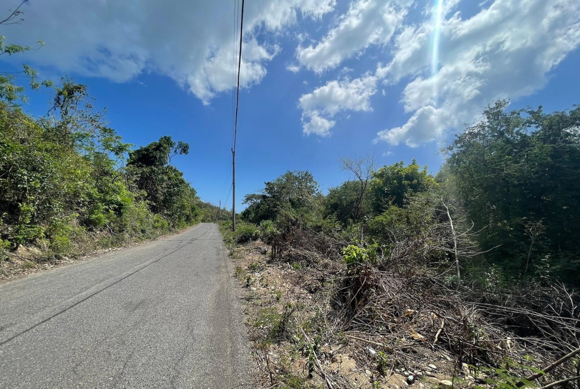 Twelfth image of Yallahs to Lloyds Parochi in Yallahs, St. Thomas, Jamaica - property is For Sale
