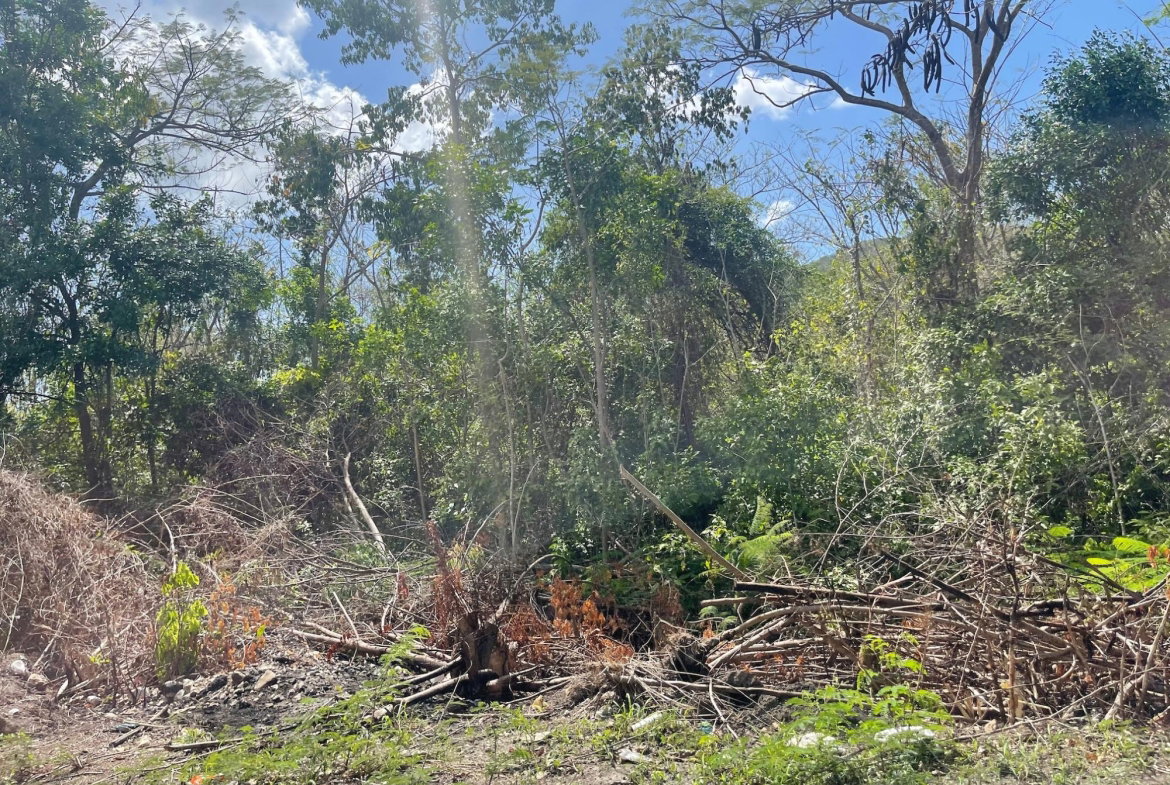 Sixth image of Yallahs to Lloyds Parochi in Yallahs, St. Thomas, Jamaica - property is For Sale