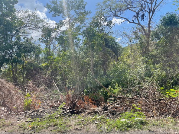 Sixth image of Yallahs to Lloyds Parochi in Yallahs, St. Thomas, Jamaica - property is For Sale