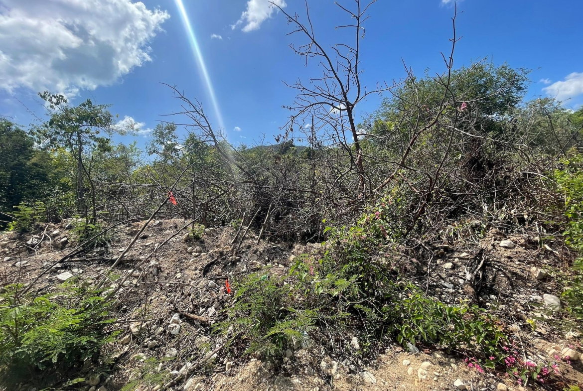 Eighth image of Yallahs to Lloyds Parochi in Yallahs, St. Thomas, Jamaica - property is For Sale
