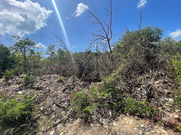 Eighth image of Yallahs to Lloyds Parochi in Yallahs, St. Thomas, Jamaica - property is For Sale