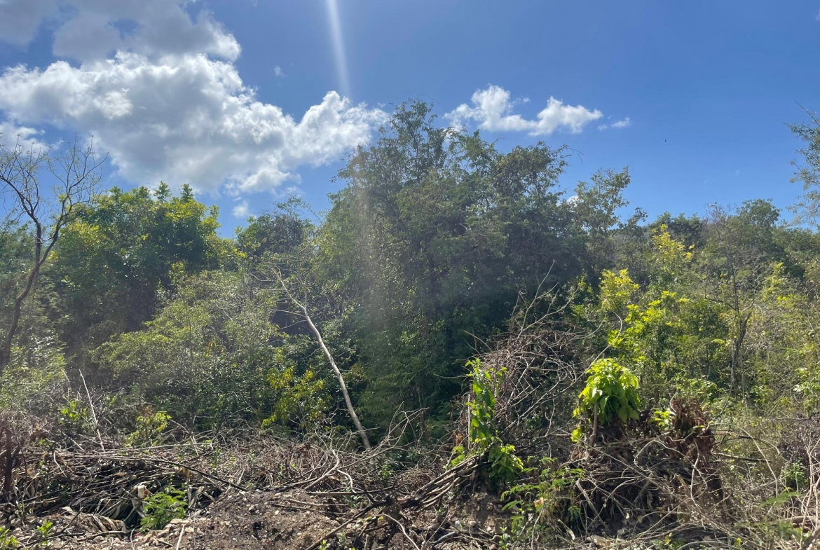 Ninth image of Yallahs to Lloyds Parochi in Yallahs, St. Thomas, Jamaica - property is For Sale