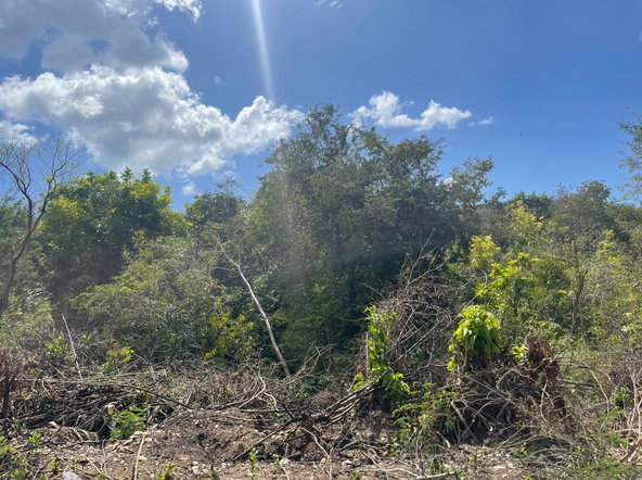 Ninth image of Yallahs to Lloyds Parochi in Yallahs, St. Thomas, Jamaica - property is For Sale