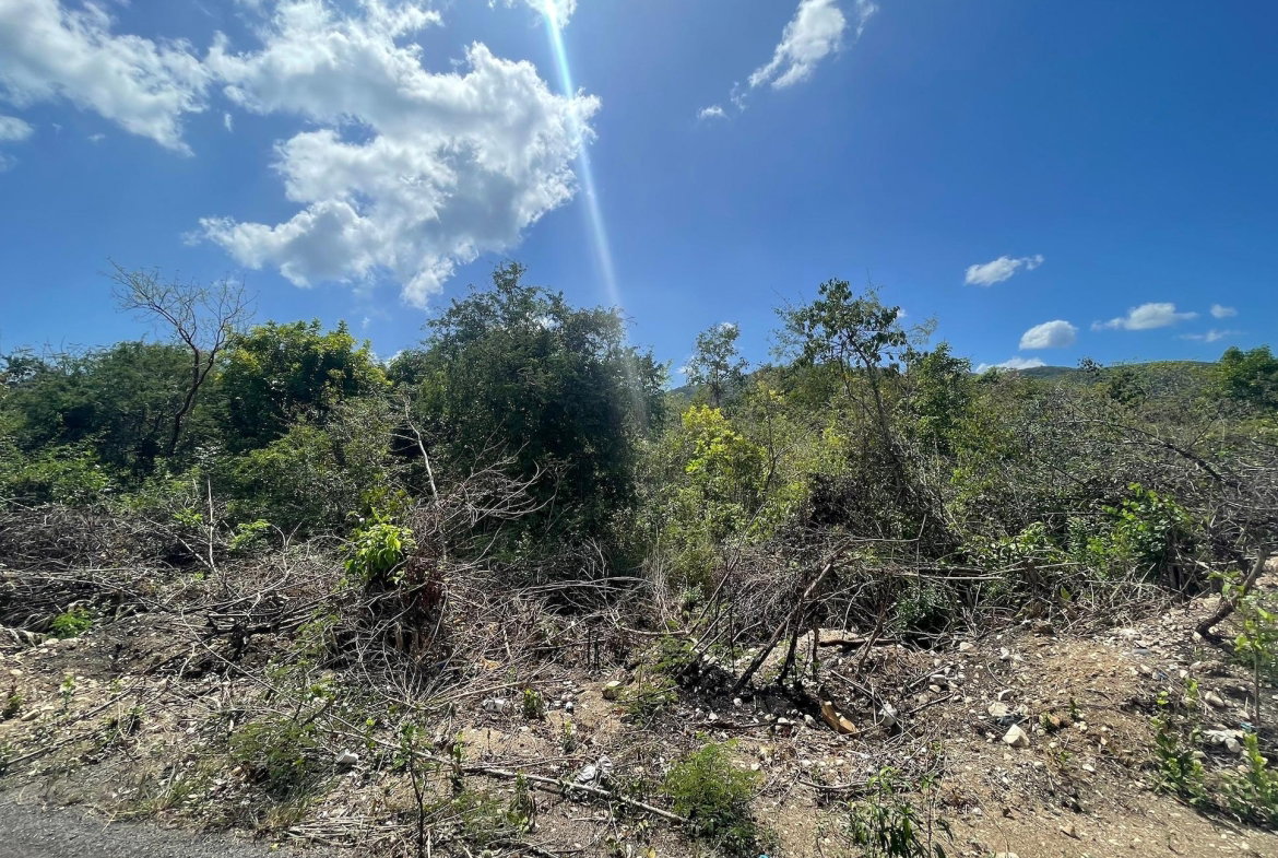 Tenth image of Yallahs to Lloyds Parochi in Yallahs, St. Thomas, Jamaica - property is For Sale