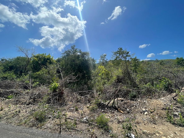 Tenth image of Yallahs to Lloyds Parochi in Yallahs, St. Thomas, Jamaica - property is For Sale