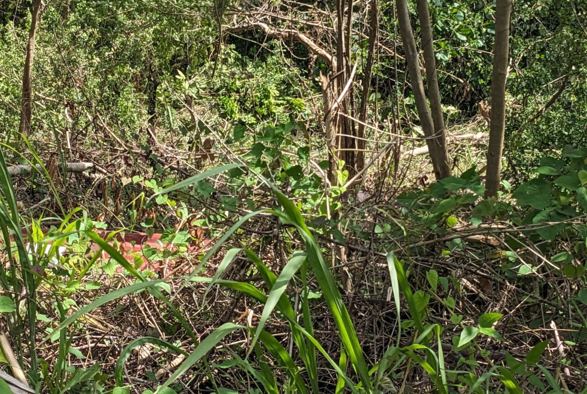 Fifth image of 133 Spring Valley, St. Mary in Tower Isle, St. Mary, Jamaica - property is For Sale