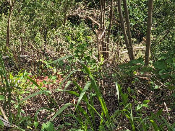 Fifth image of 133 Spring Valley, St. Mary in Tower Isle, St. Mary, Jamaica - property is For Sale