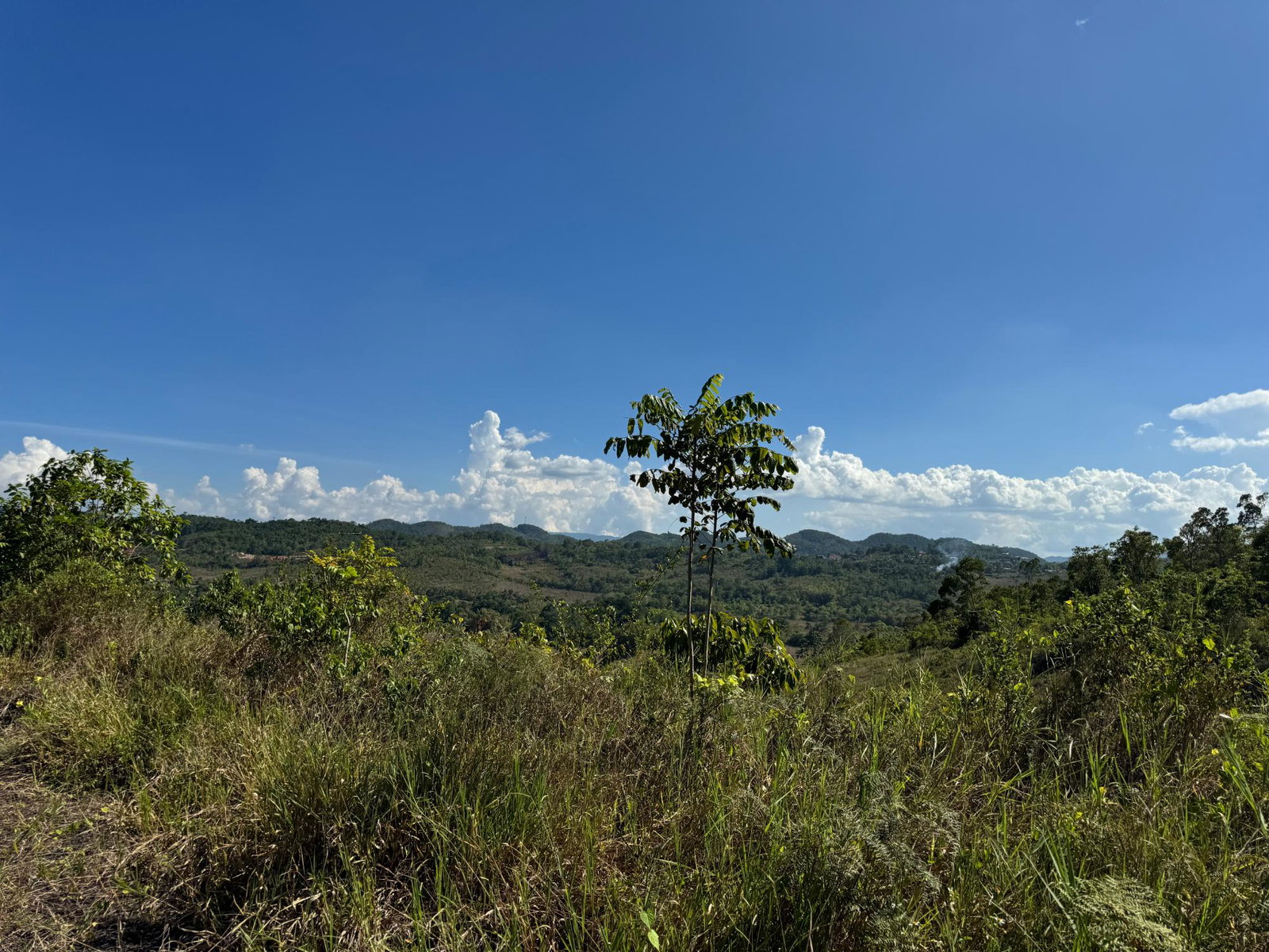 Eleventh image of 57&58,9&56 Friendship in Walkerswood, St. Ann, Jamaica - property is For Sale