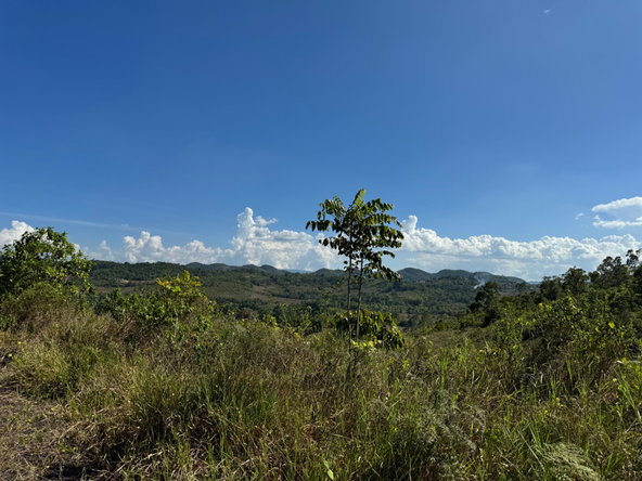 Eleventh image of 57&58,9&56 Friendship in Walkerswood, St. Ann, Jamaica - property is For Sale