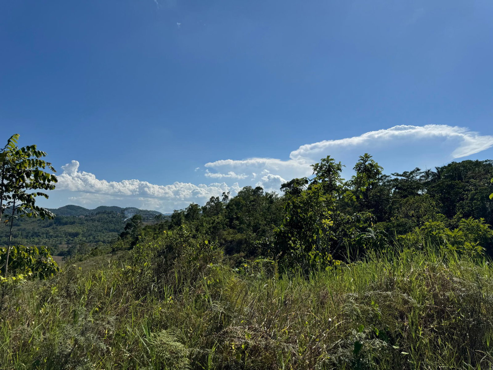 Twelfth image of 57&58,9&56 Friendship in Walkerswood, St. Ann, Jamaica - property is For Sale