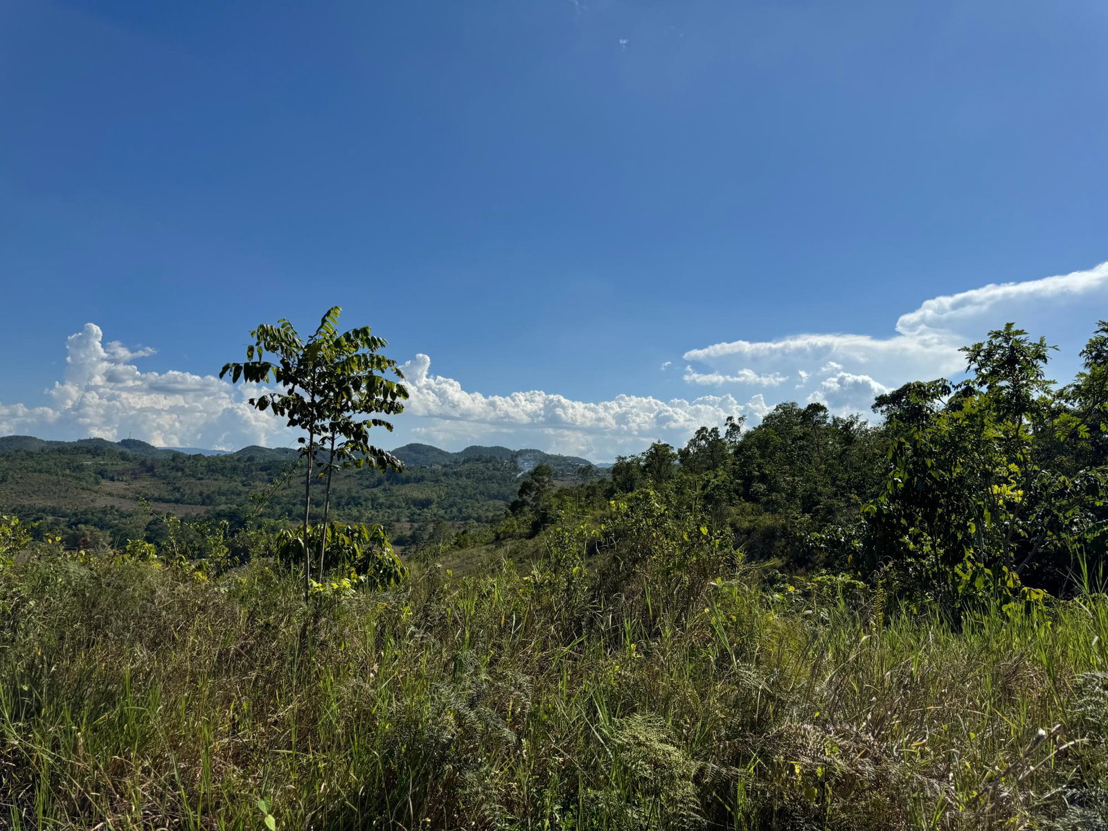 Thirteenth image of 57&58,9&56 Friendship in Walkerswood, St. Ann, Jamaica - property is For Sale