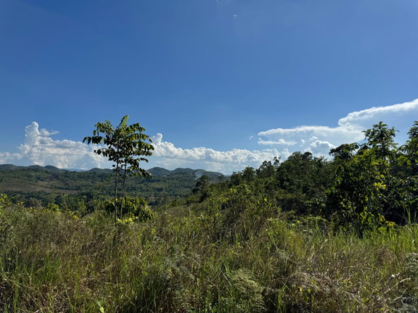 Thirteenth image of 57&58,9&56 Friendship in Walkerswood, St. Ann, Jamaica - property is For Sale
