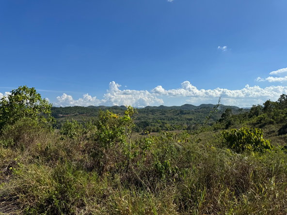Fourteenth image of 57&58,9&56 Friendship in Walkerswood, St. Ann, Jamaica - property is For Sale