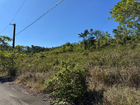 Fifteenth image of 57&58,9&56 Friendship in Walkerswood, St. Ann, Jamaica - property is For Sale