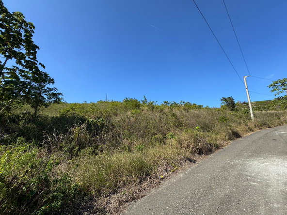 Sixteenth image of 57&58,9&56 Friendship in Walkerswood, St. Ann, Jamaica - property is For Sale