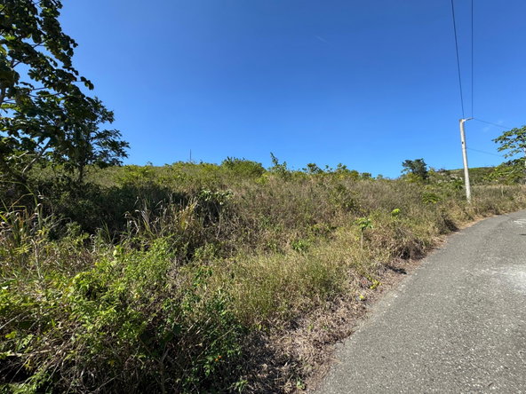 Nineteenth image of 57&58,9&56 Friendship in Walkerswood, St. Ann, Jamaica - property is For Sale