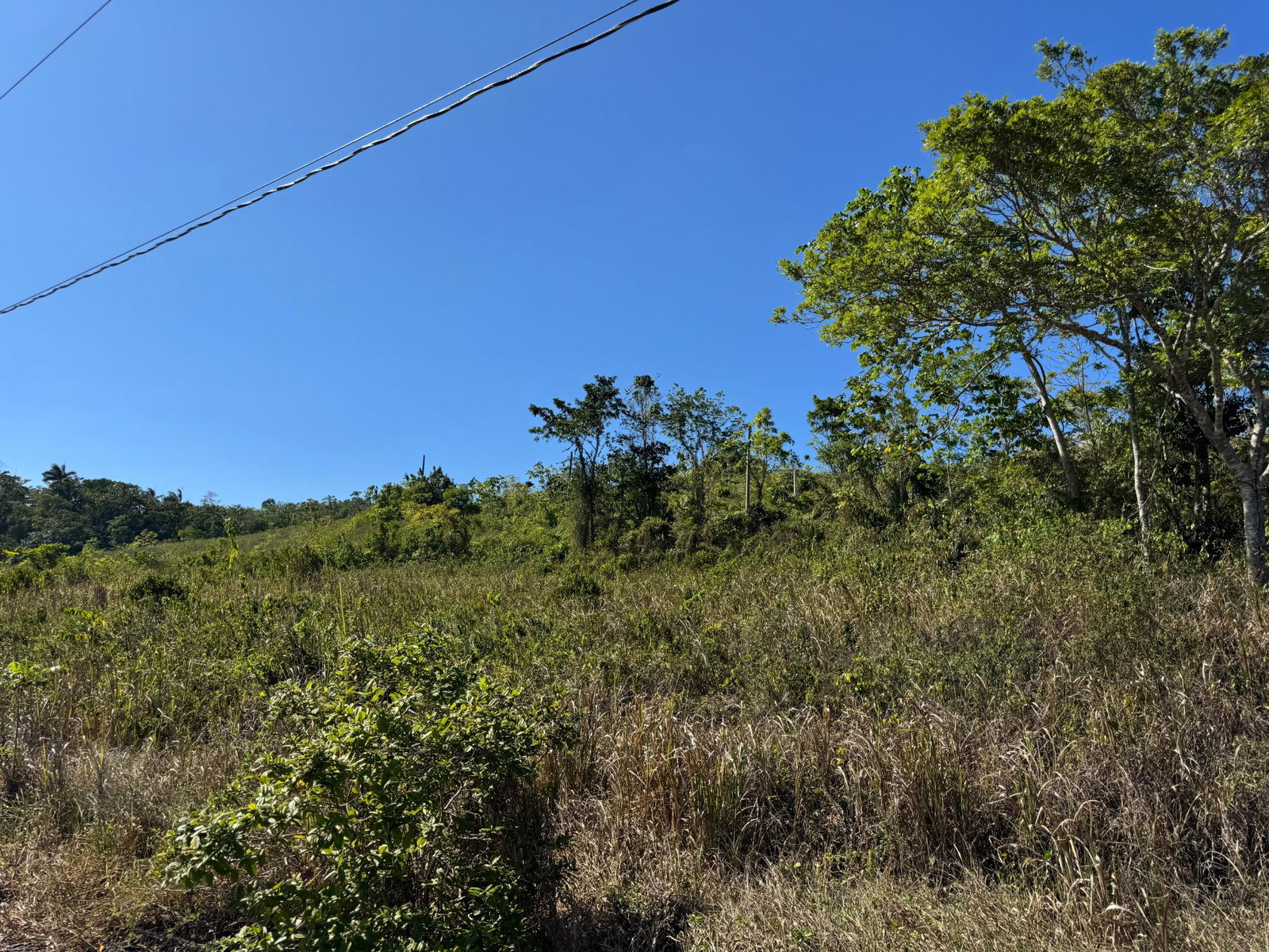 Third image of 57&58,9&56 Friendship in Walkerswood, St. Ann, Jamaica - property is For Sale