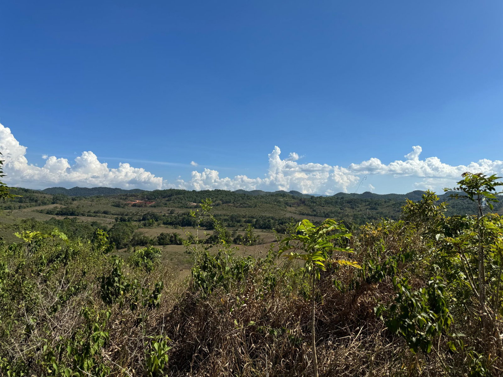 Fifth image of 57&58,9&56 Friendship in Walkerswood, St. Ann, Jamaica - property is For Sale