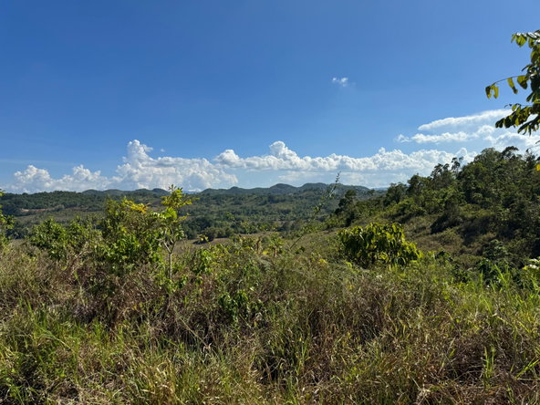 Tenth image of 57&58,9&56 Friendship in Walkerswood, St. Ann, Jamaica - property is For Sale