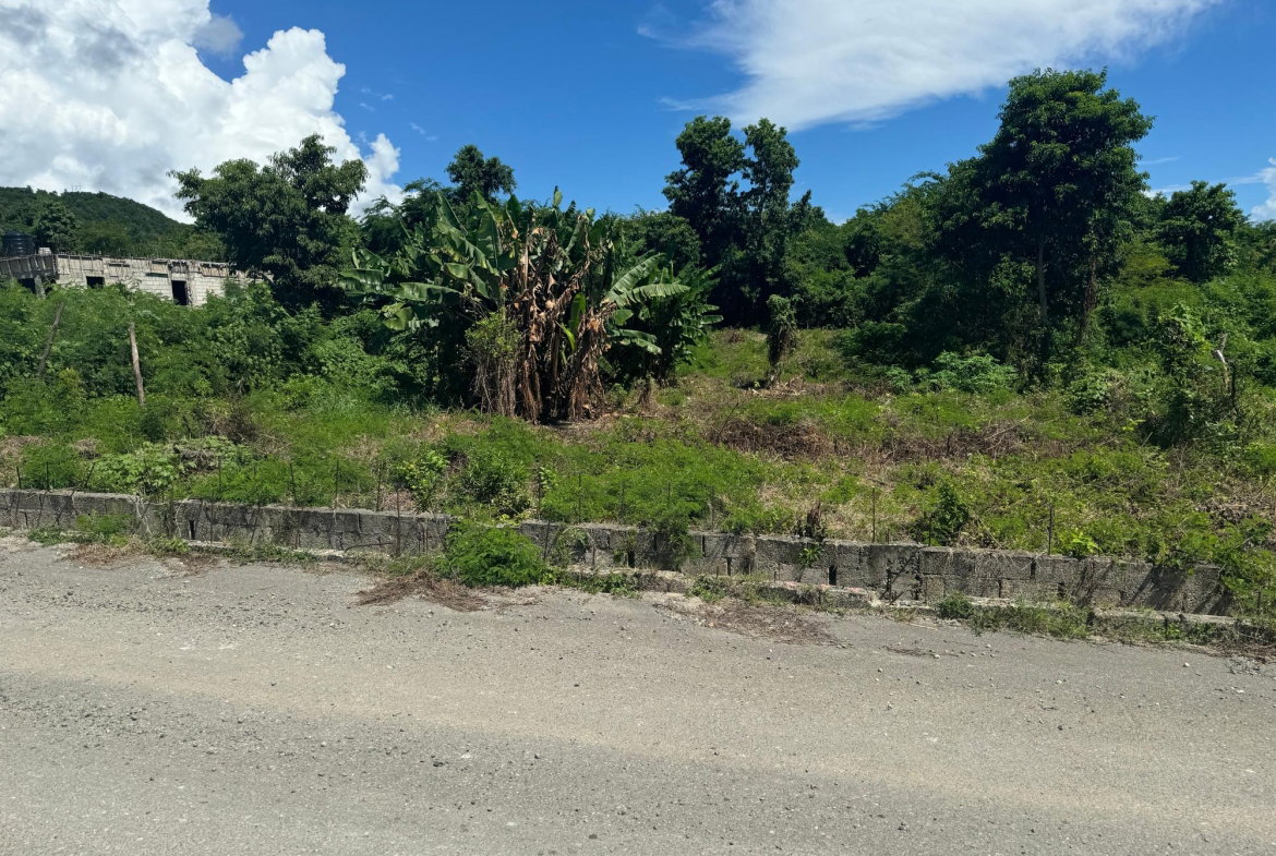 Third image of Lot 238 Pamphret Heights in Yallahs, St. Thomas, Jamaica - property is For Sale