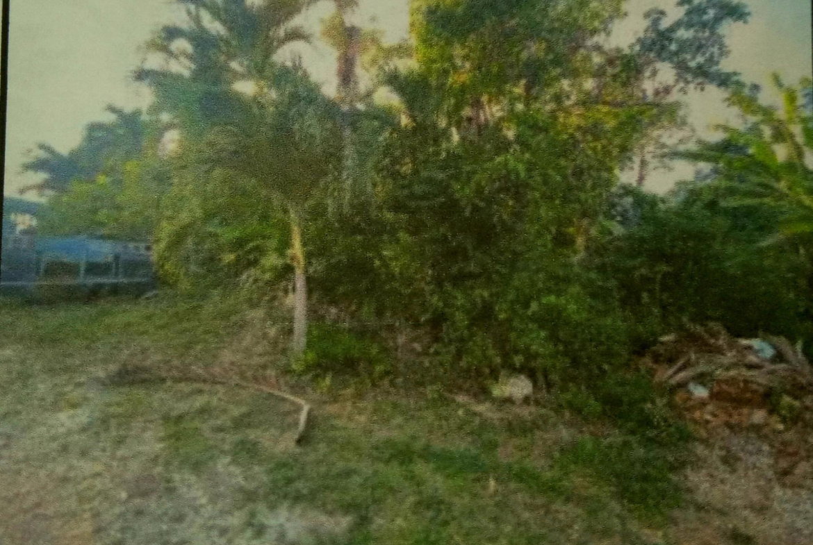 First image of Greencastle Port Maria, s in Port Maria, St. Mary, Jamaica - property is For Sale