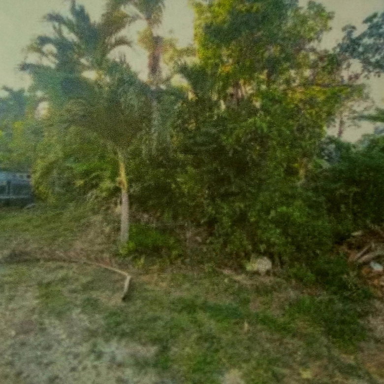 First image of Greencastle Port Maria, s in Port Maria, St. Mary, Jamaica - property is For Sale