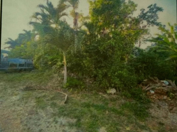 First image of Greencastle Port Maria, s in Port Maria, St. Mary, Jamaica - property is For Sale
