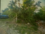 First image of Greencastle Port Maria, s in Port Maria, St. Mary, Jamaica - property is For Sale