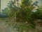 First image of Greencastle Port Maria, s in Port Maria, St. Mary, Jamaica - property is For Sale