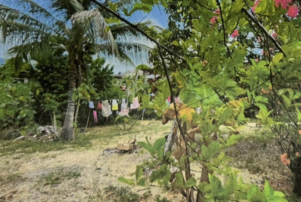 Second image of Lot 568 Patterson Road in Luana, St. Elizabeth, Jamaica - property is For Sale