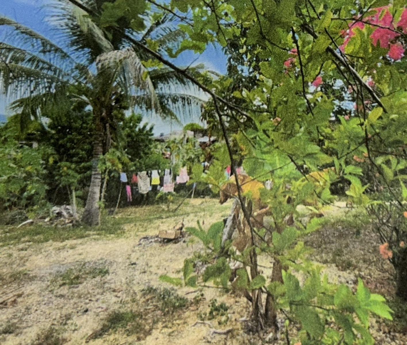 Second image of Lot 568 Patterson Road in Luana, St. Elizabeth, Jamaica - property is For Sale