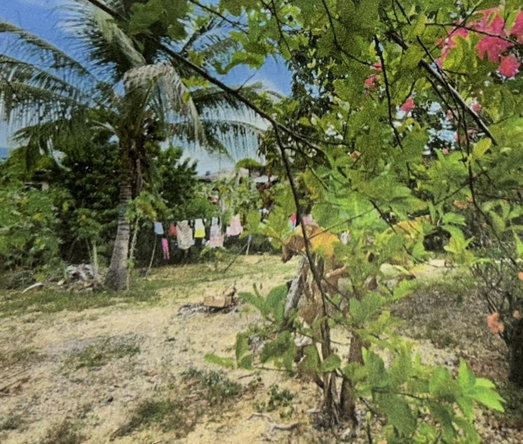 Second image of Lot 568 Patterson Road in Luana, St. Elizabeth, Jamaica - property is For Sale
