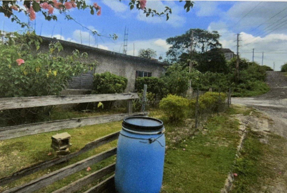Third image of Lot 568 Patterson Road in Luana, St. Elizabeth, Jamaica - property is For Sale