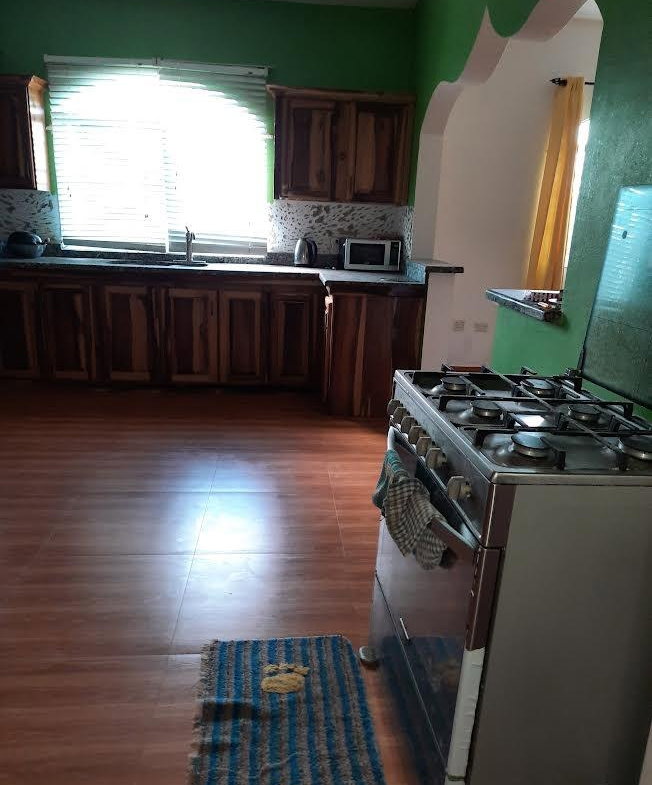 Twentieth image of 459 Industry Pen, st Mary in Three Hills, St. Mary, Jamaica - property is For Sale