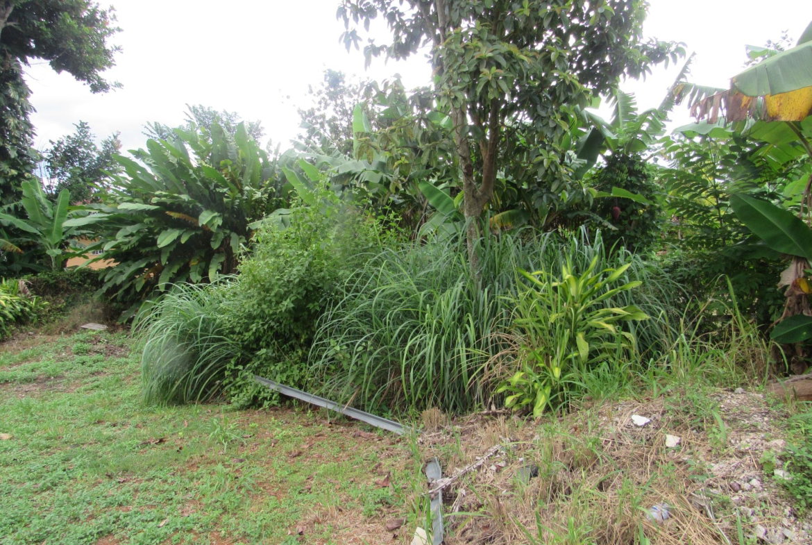 Seventeenth image of 36 Sheridan Drive in Mandeville, Manchester, Jamaica - property is For Sale