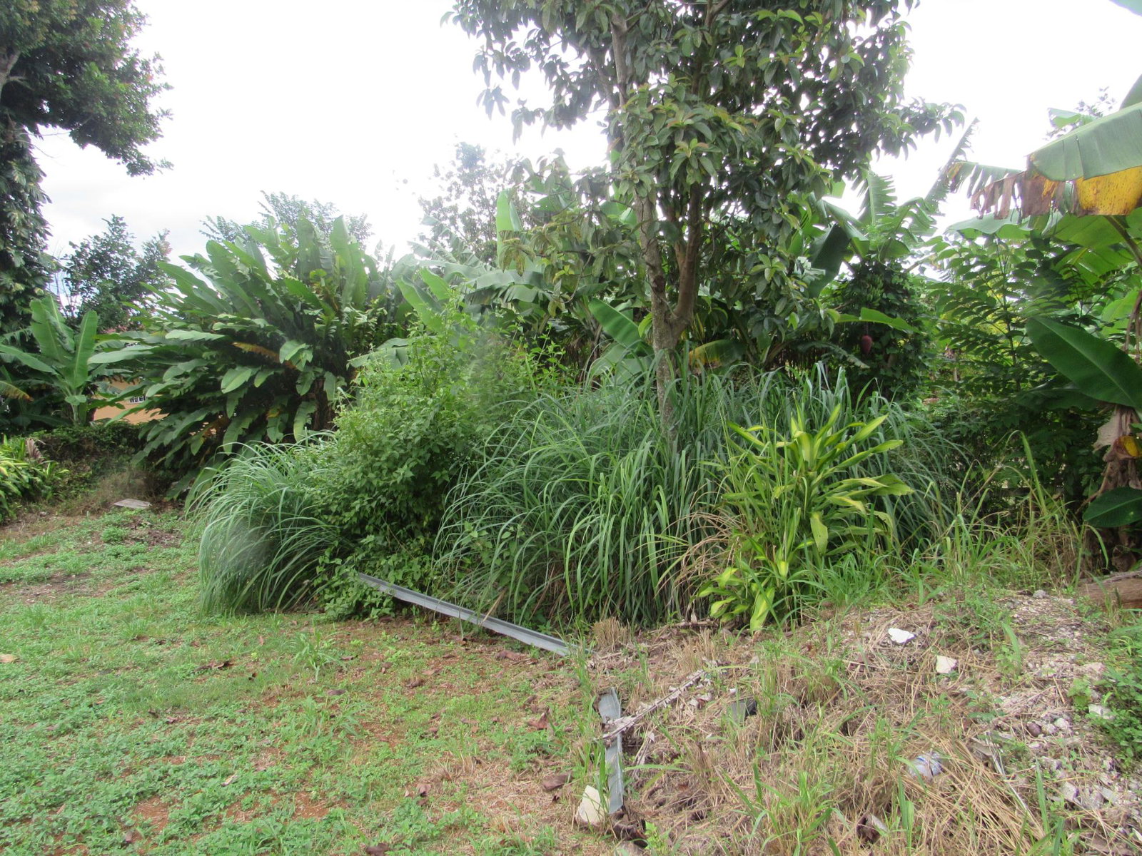 Spacious-4-Bedroom-House-for-Sale-in-Manchester-Jamaica-–-36-Sheridan-Drive Seventeenth image of 36 Sheridan Drive in Mandeville, Manchester, Jamaica - property is For Sale