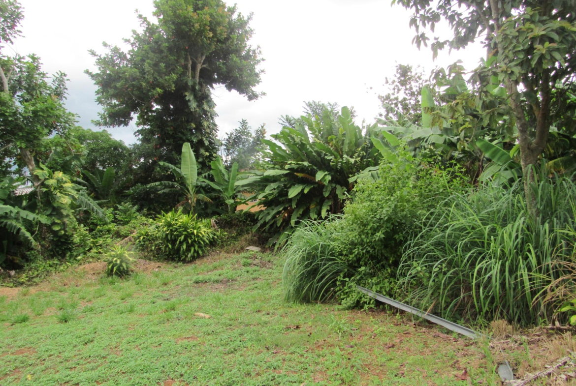 Eighteenth image of 36 Sheridan Drive in Mandeville, Manchester, Jamaica - property is For Sale