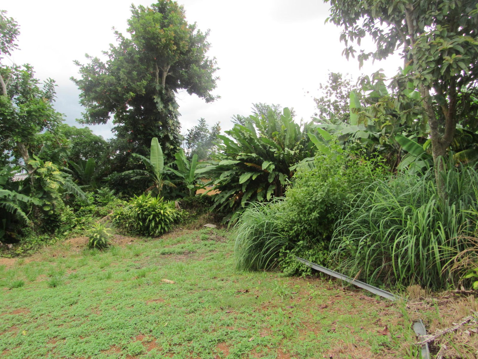 Spacious-4-Bedroom-House-for-Sale-in-Manchester-Jamaica-–-36-Sheridan-Drive Eighteenth image of 36 Sheridan Drive in Mandeville, Manchester, Jamaica - property is For Sale