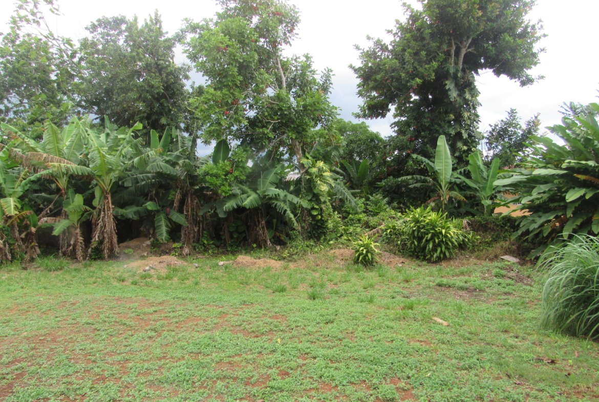 Nineteenth image of 36 Sheridan Drive in Mandeville, Manchester, Jamaica - property is For Sale