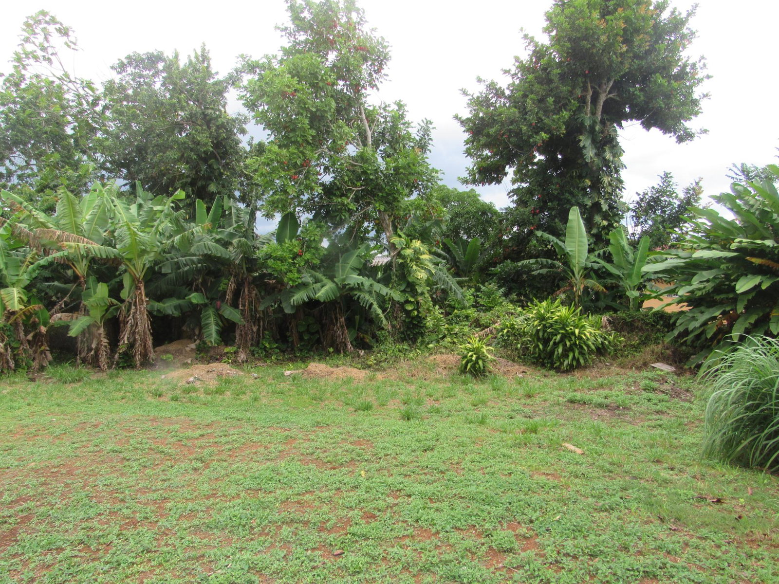 Spacious-4-Bedroom-House-for-Sale-in-Manchester-Jamaica-–-36-Sheridan-Drive Nineteenth image of 36 Sheridan Drive in Mandeville, Manchester, Jamaica - property is For Sale