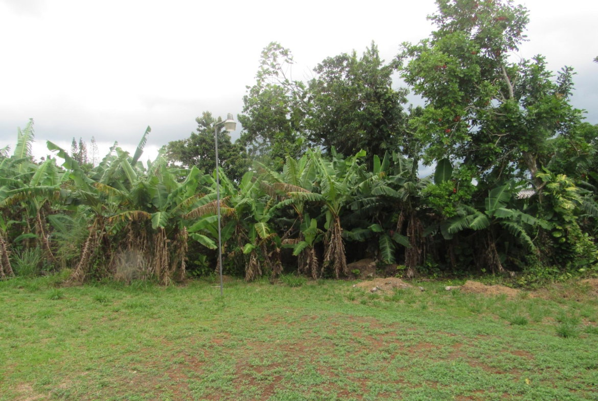 Twentieth image of 36 Sheridan Drive in Mandeville, Manchester, Jamaica - property is For Sale