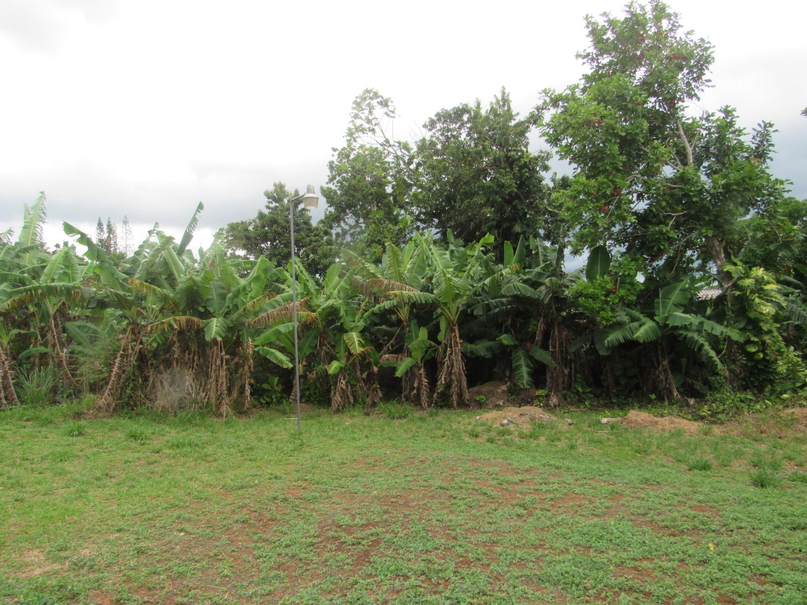 Spacious-4-Bedroom-House-for-Sale-in-Manchester-Jamaica-–-36-Sheridan-Drive Twentieth image of 36 Sheridan Drive in Mandeville, Manchester, Jamaica - property is For Sale