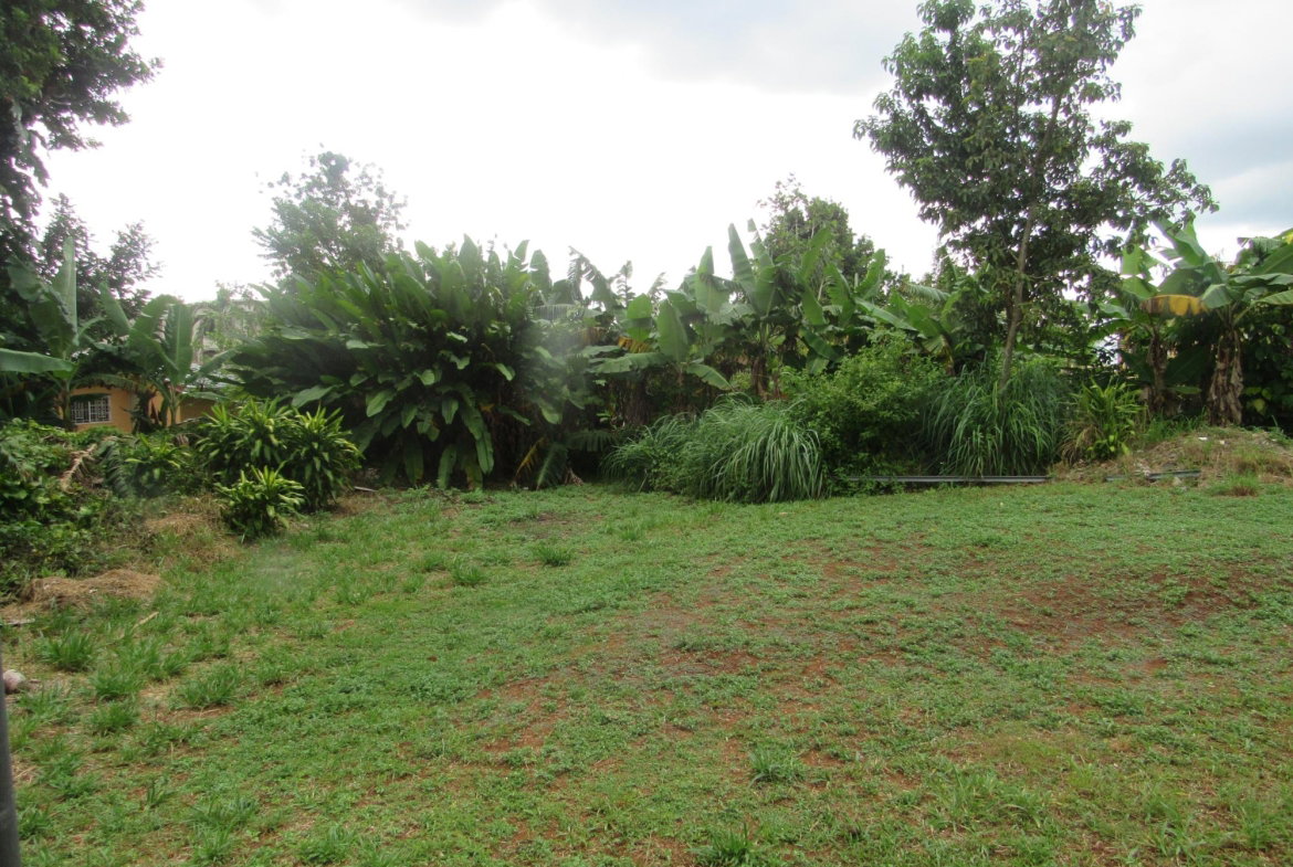 Twenty-Seventh image of 36 Sheridan Drive in Mandeville, Manchester, Jamaica - property is For Sale
