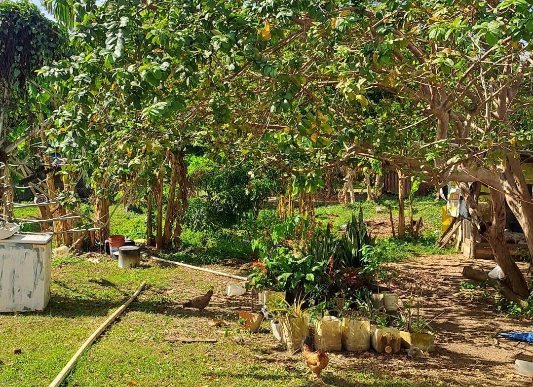 Third image of 24 Berties Drive in Amity, Westmoreland, Jamaica - property is For Sale