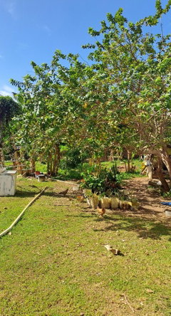 Third image of 24 Berties Drive in Amity, Westmoreland, Jamaica - property is For Sale