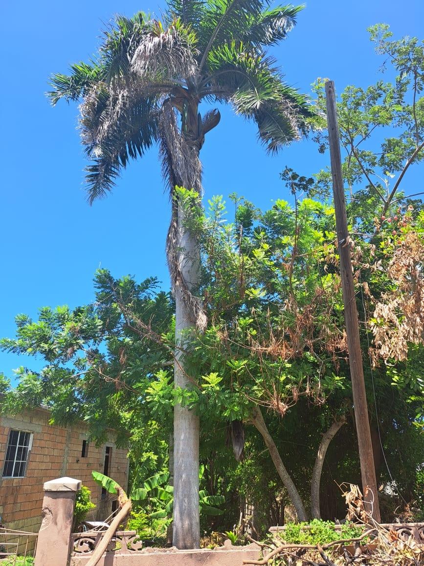 Spacious-5-Bedroom-House-for-Sale-in-Hague-Trelawny-Jamaica Twelfth image of Lot 344 Sunset st in HAGUE HOUSING SCHEME, Trelawny, Jamaica - property is For Sale